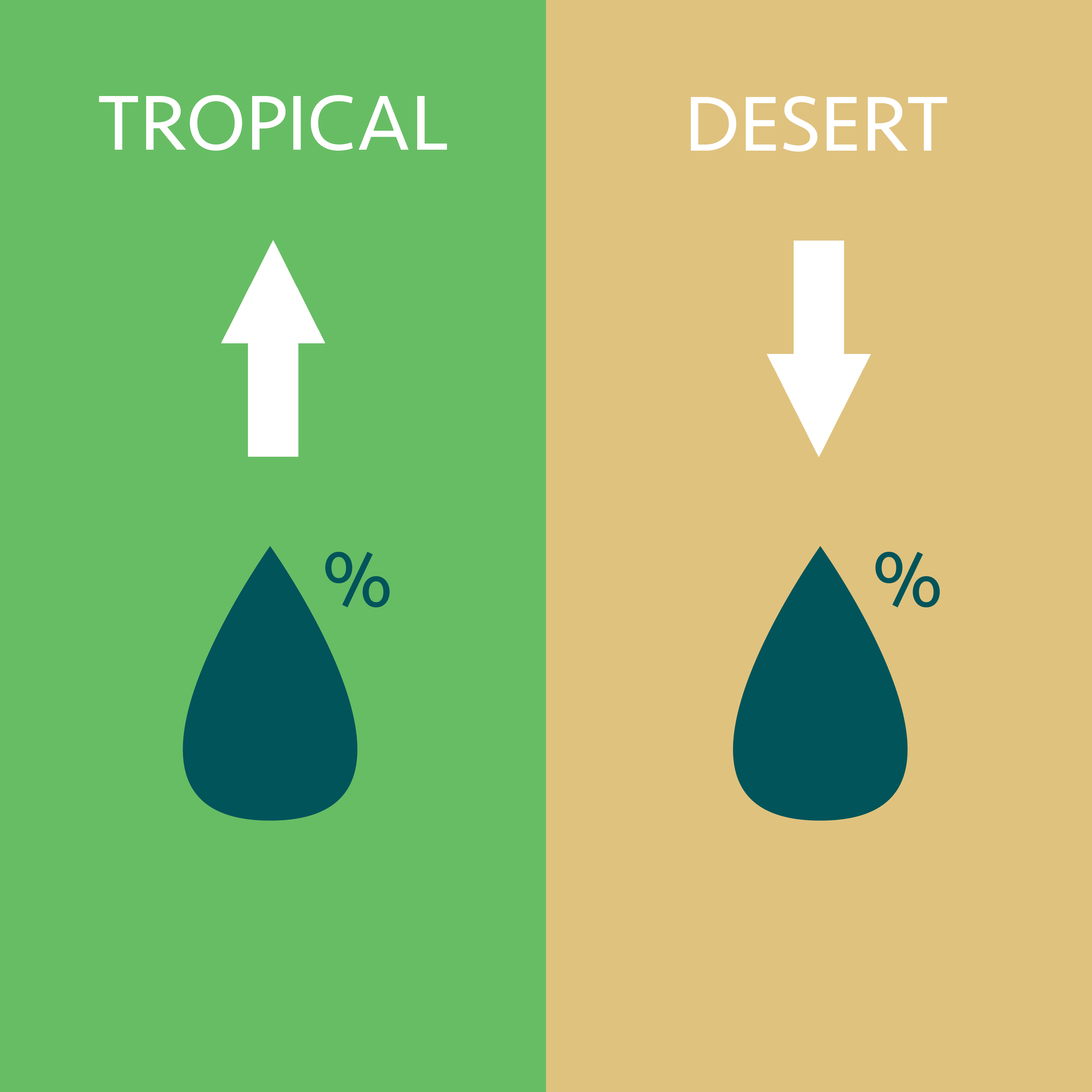 Humid vs Dry Climate